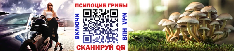 Псилоцибиновые грибы Psilocybe  наркота  Таруса 